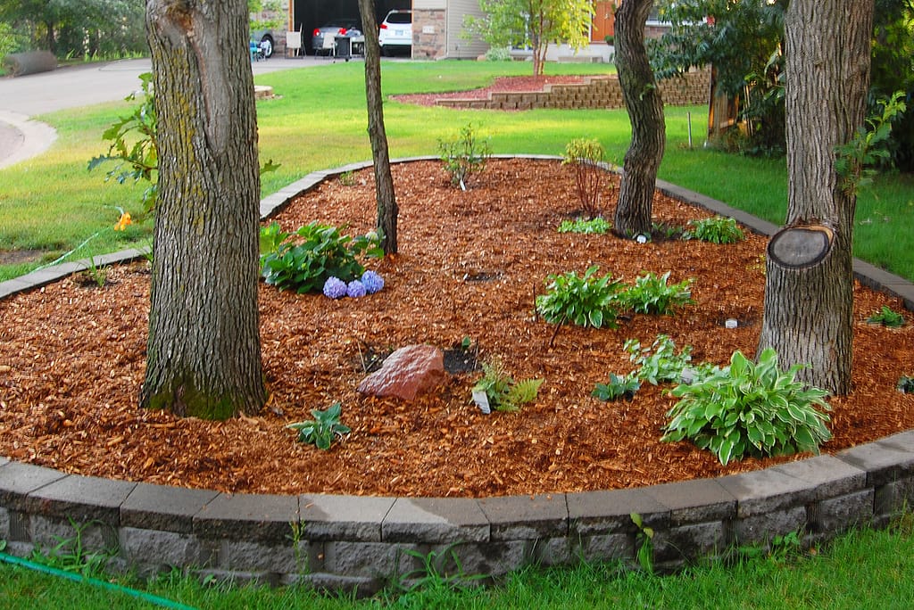 Should I use mulch in my garden?