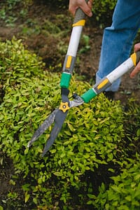 Garden Clearance