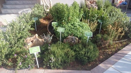 Eco-Gardening